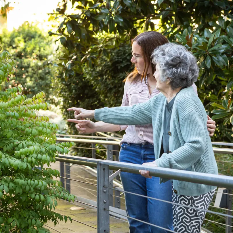 Frische Erdbeeren bei der Tagespflege